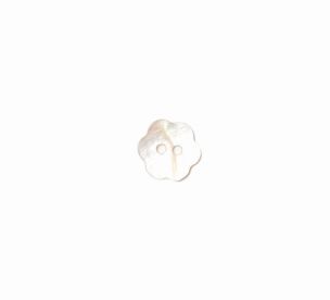 **-Shell Button 2B/1724-** ##-Crendon Buttons 2B--202-##