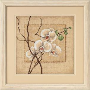 **-Oriental Orchids Counted Cross Stitch Kit-** ##-Dimensions D35176-##