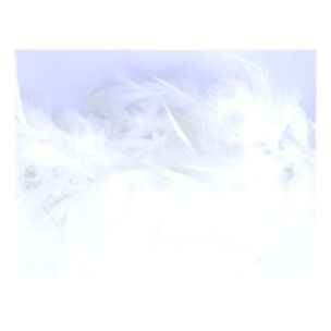 **-Marabou Boa approx-** 12cm x 1.8m ##-Trimits TD00---##