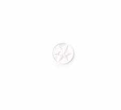 **-Star Button 2B/217-** ##-Crendon Buttons 2B--227-##