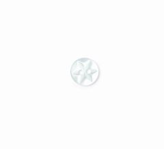**-Star Button 2B/341-** ##-Crendon Buttons 2B--228-##