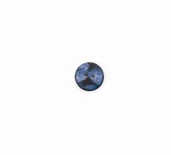 **-Fashion Buttons 2B/1323-** ##-Crendon Buttons 2B--182-##