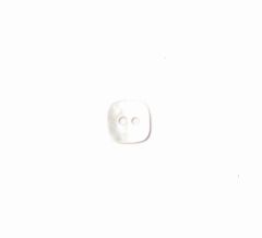 **-Shell Button 2B/1721-** ##-Crendon Buttons 2B--206-##