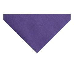 **-24 inch Felt Squares-** ##-Craft Factory F24-----##