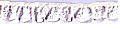 **-Broderie Anglais Frilled 25mm :: White-** ##-Essential Trimmings ET234-WHT-##