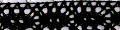 **-Cotton Lace 25mm :: Black-** ##-Essential Trimmings ET240-BLK-##