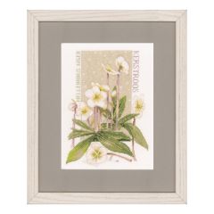 **-Counted Cross Stitch Kit: Pure White (Aida)-** ##-Lanarte PN-0146538-##