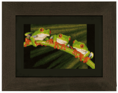 **-Counted Cross Stitch Kit Red Eye Tree Frog Trio-** ##-Vervaco PN-0146866-##