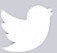 Twitter Logo