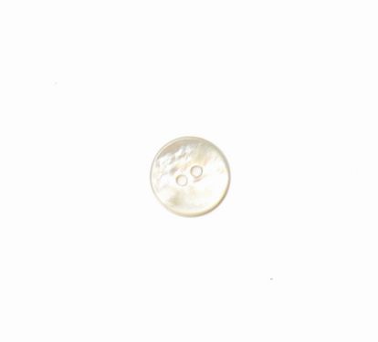 <strong>Shell Button 2B/1432</strong> <em>Crendon Buttons 2B--210</em>