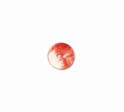 <strong>Shell Button 2B/1447</strong> <em>Crendon Buttons 2B--208</em>