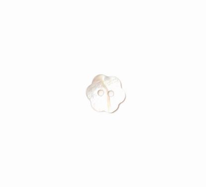<strong>Shell Button 2B/1724 :: 11mm x 25 pck</strong> <em>Crendon Buttons 2B-1724</em>