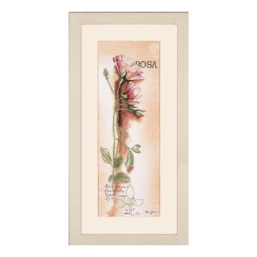 <strong>Lanarte PN-0008050 Rosa</strong> <span>Botanical Counted Cross Stitch Kit</span> <em>Lanarte PN-0008050</em>