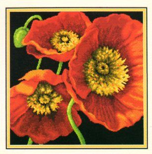 <strong>Red Poppy Trio</strong> <em>Dimensions D71-20073</em>