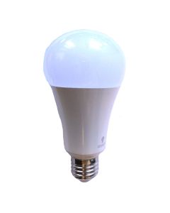 15W LED Bulb Daylight D15500 Daylight Lamps D15500
