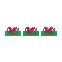 Berisfords Red, White & Green Welsh Dragon Flag Ribbon (20m spool)