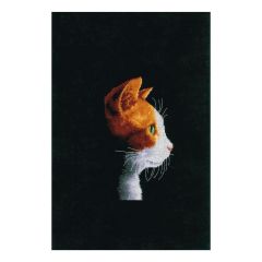 Counted Cross Stitch Kit: Kitten Vervaco PN-0154999