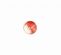 <strong>Shell Button 2B/1447</strong> <em>Crendon Buttons 2B--208</em>