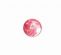 <strong>Shell Button 2B/1450</strong> <em>Crendon Buttons 2B--209</em>