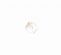 <strong>Shell Button 2B/1724 :: 11mm x 25 pck</strong> <em>Crendon Buttons 2B-1724</em>