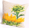 <strong>Afternoon Cushion Kit</strong> <em>Collection D'Art CD5087</em>