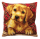 <strong>Brady Cushion Kit</strong> <em>Collection D'Art CD5160</em>