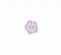 <strong>Flower Button BF/8034</strong> <em>Crendon Buttons BF--085</em>