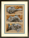 <strong>Counted Cross Stitch Max The Cat</strong> <em>Dimensions D70-35301</em>