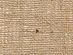 <strong>Hessian Standard Quality</strong> <em>Craft Factory HESSB</em>