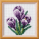 <strong>Cross Stitch Kit Crocus</strong> <em>Orchidea ORC-7510</em>