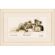 <strong>Counted Cross Stitch Kit: Sleeping With Teddy</strong> <em>Vervaco PN-0143730</em>