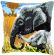 <strong>Cross Stitch Cushion Elephants</strong> <em>Vervaco PN-0146813</em>