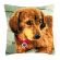 <strong>Printed Cross Stitch Cushion: Dachshund</strong> <em>Vervaco PN-0148521</em>