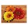 <strong>Latch Hook: Shaped Rug: Flower</strong> <em>Vervaco PN-0149415</em>