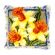 <strong>Latch Hook Cushion: Daffodils</strong> <em>Vervaco PN-0149783</em>