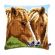 <strong>Cross Stitch Cushion: Horses</strong> <em>Vervaco PN-0150680</em>