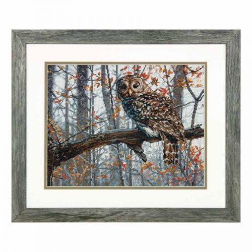 Counted Cross Stitch: Wise Owl