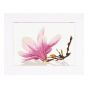<strong>Counted Cross Stitch Kit: Magnolia Twig with Flower (Aida,W)</strong> <em>Lanarte PN-0008304</em>