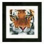 <strong>Counted Cross Stitch Kit: Tiger (Aida)</strong> <em>Lanarte PN-0156104</em>
