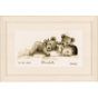 <strong>Counted Cross Stitch Kit: Sleeping With Teddy</strong> <em>Vervaco PN-0143730</em>