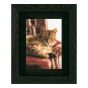 <strong>Lanarte PN-0146177 Relaxed Tabby Counted Cross Stitch Kit</strong> <em>Lanarte PN-0146177</em>