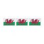 Berisfords Red, White & Green Welsh Dragon Flag Ribbon (20m spool)