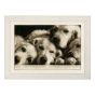 <strong>Counted Cross Stitch Kit: Labradors</strong> <em>Vervaco PN-0154541</em>
