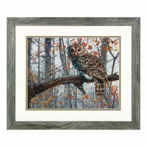 Counted Cross Stitch: Wise Owl Dimensions D70-35311