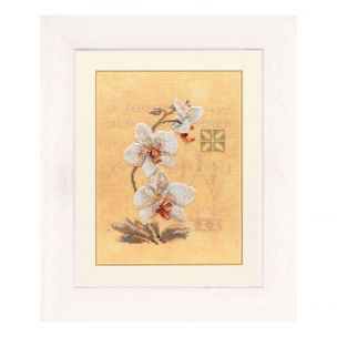 Counted Cross Stitch Kit: Three Orchids (Evenweave) Lanarte PN-0008008