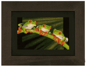 Counted Cross Stitch Kit Red Eye Tree Frog Trio Vervaco PN-0146866