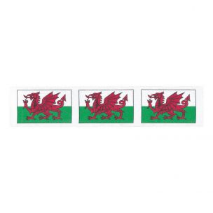 Berisfords Red White & Green Welsh Dragon Flag Ribbon (20m spool) Berisfords Ribbon R13666----1